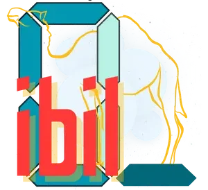 iBilSchool